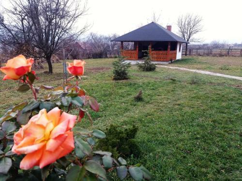 Hostal Pensiunea Obcina Mare