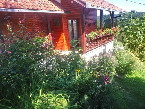 Hostal Guest House Little Heaven