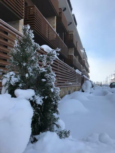 Lux Apartments Janjic