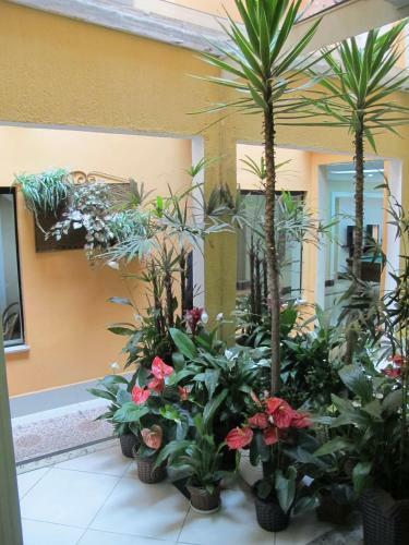 Hostal Princesa Isabel Pousada E Hotel ? Dom Pedro