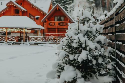 Hotel Ruchii Udachi