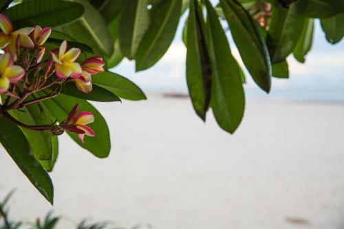 Hotel Verano Beach Villa