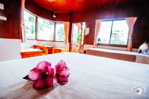 Hostal Venus Resort
