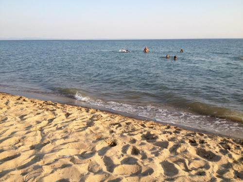 Saros Aslan Apart Hotel