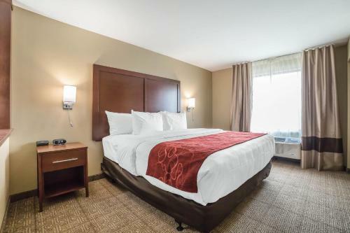 Hotel Comfort Suites Billings