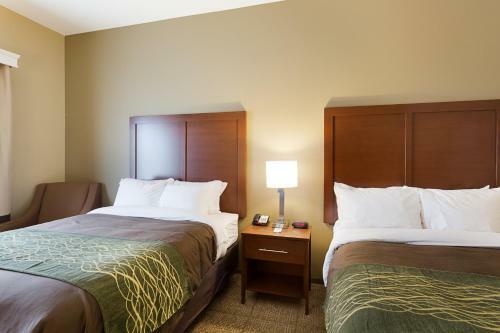Hotel Comfort Inn & Suites Zachary