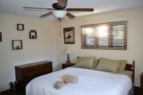 The Mountaineer Hostel