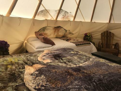 Olancha Rv Park And Motel