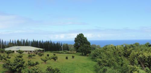 Hostal Mahana House Country Inn