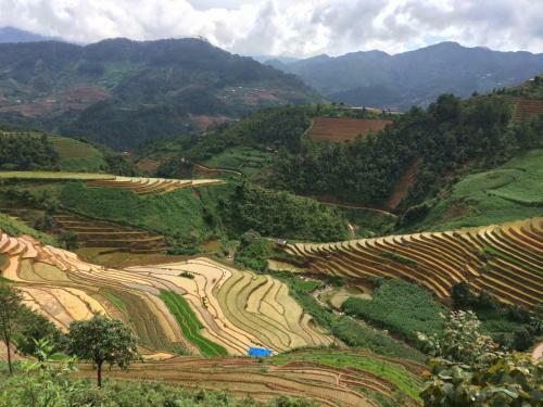 Lodge Hello Mu Cang Chai Homestay