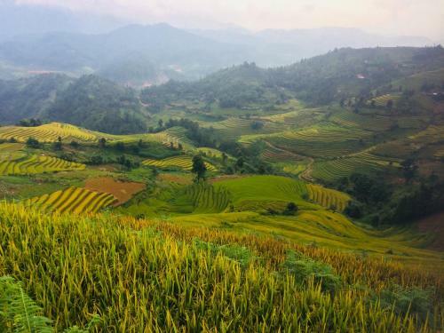 Lodge Hello Mu Cang Chai Homestay