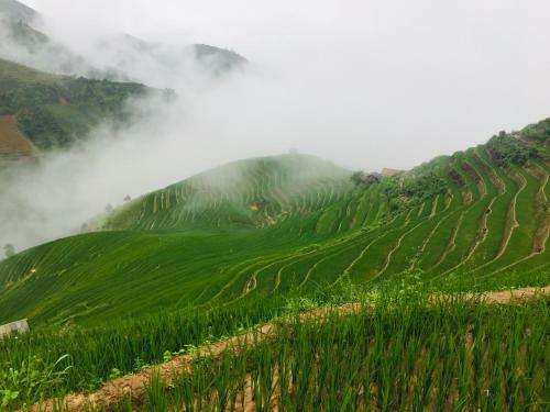 Lodge Hello Mu Cang Chai Homestay