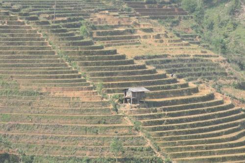 Lodge Hello Mu Cang Chai Homestay