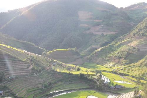 Lodge Hello Mu Cang Chai Homestay