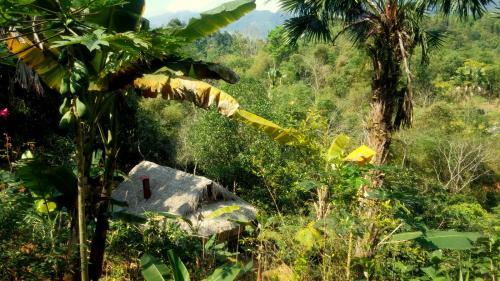 Lodge Mai Chau Palm House