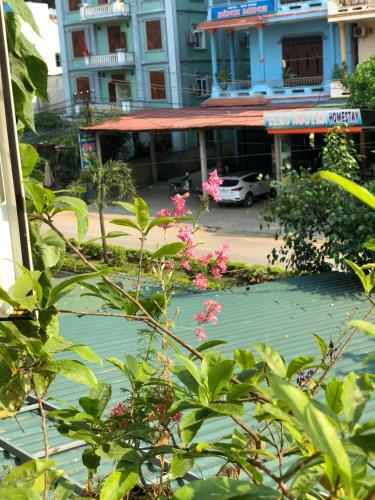 Hotel Rose Poshtel