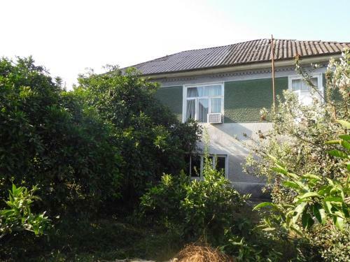 Hostal Guesthouse On Adleiba 77