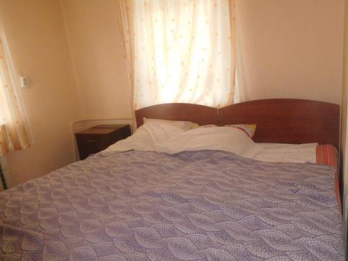 Hostal Guesthouse On Adleiba 77