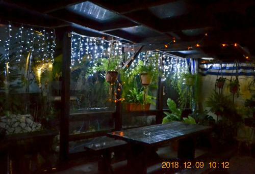Hostal U Palycha Guest House