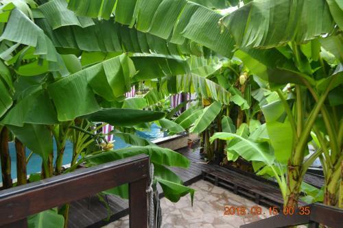 Hostal U Palycha Guest House