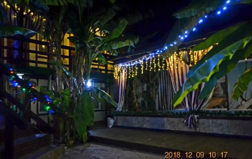Hostal U Palycha Guest House