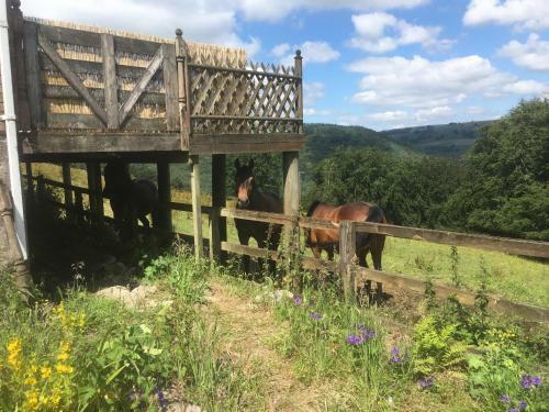 Bed & Breakfast Ty Shon Jacob Farm