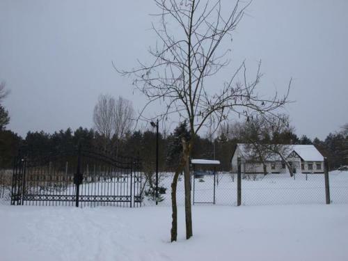 Apartamento Cinege Vend�gh�z
