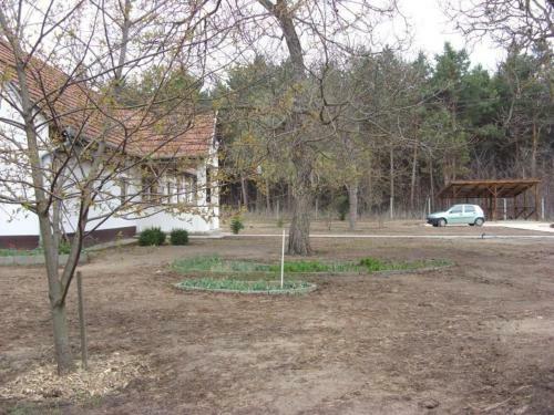 Apartamento Cinege Vend�gh�z
