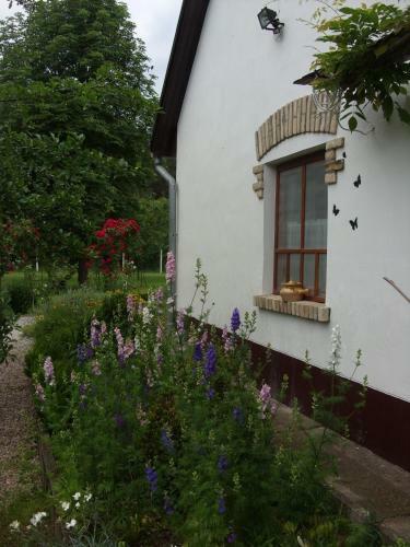 Apartamento Cinege Vend�gh�z