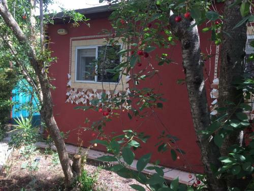 A Little Galilee House