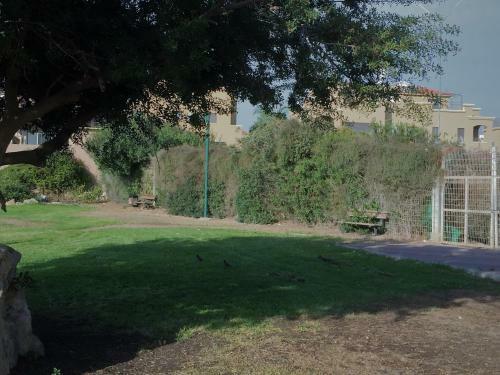 2 Bedroom Apartments In Atlit, Haifa District