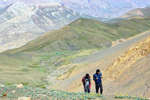 The Nomad's Cottage-losar Spiti Valley