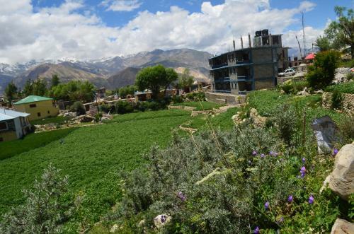 Hotel Reo Purguil
