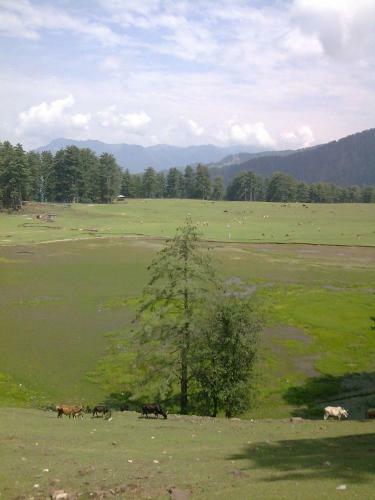 Vardaan Hotels - Patnitop