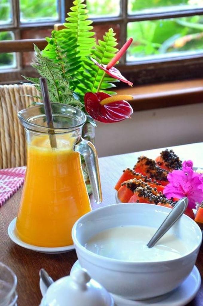 Hostal Pousada S�tio Dos Tucanos