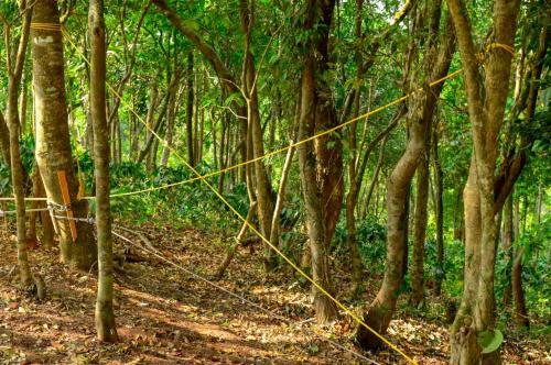 Villa Pravat Plantation Stay