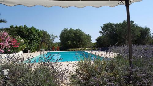 Trull Of Paradise With Pool-white Ostuni-puglia