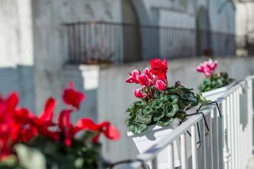 Apartamento Arcu�ve-dimora Con Vista