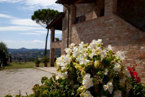 Agroturismo Agriturismo San Fedele