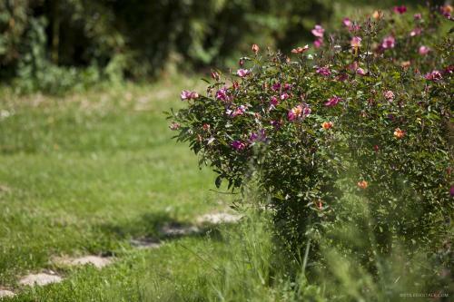 Bed & Breakfast Casino Di Pragatto