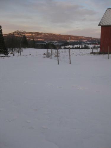 Agroturismo Vognbua P� Gran