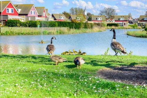 Fr�jus 116 - Kustpark Village Scaldia