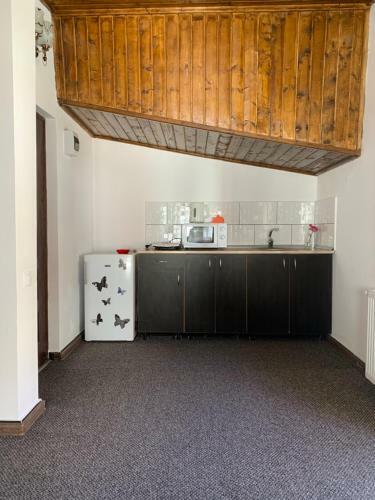 Vila Ammos Apartments Busteni