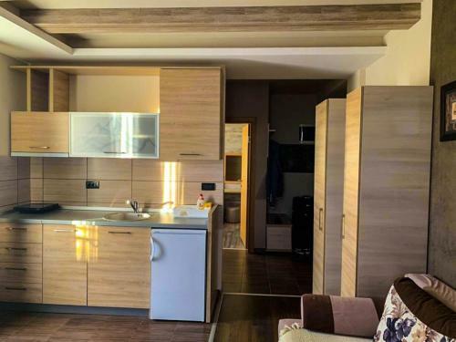 Sm Apartments Kopaonik