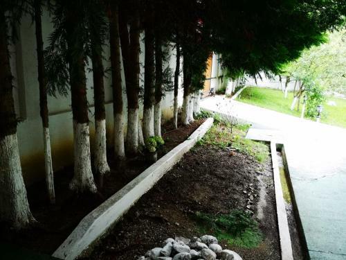 Hotel Vila Andreea