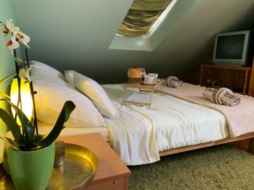 Slavka Apartment