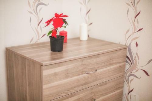 Apartamento Managecomfort Akademika Volgina