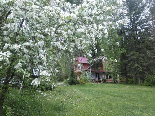 Biya Zapovednaya Holiday Park