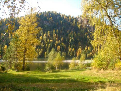 Biya Zapovednaya Holiday Park