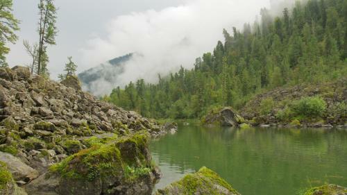 Biya Zapovednaya Holiday Park